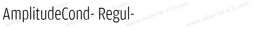 AmplitudeCond- Regul字体转换